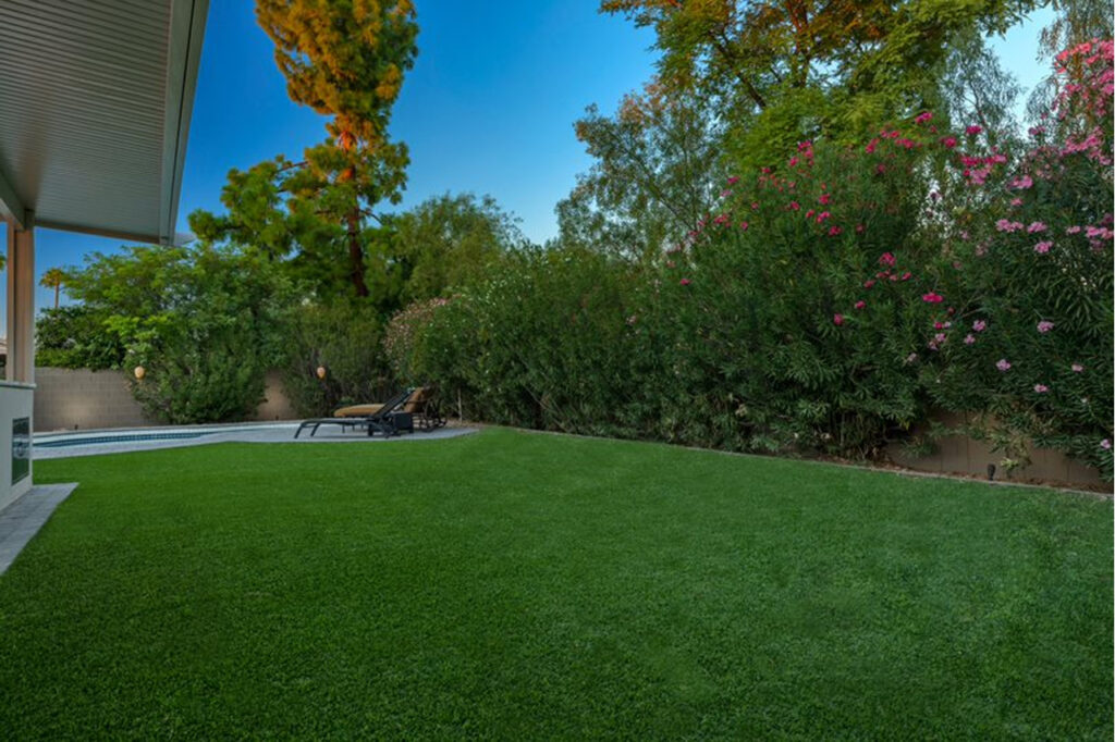 Artificial grass for Pets